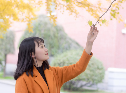 菲律宾对旅游签证办理流程(旅游签最新办理流程)